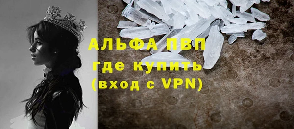 СК Абинск