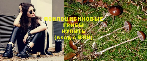 дмт Абдулино