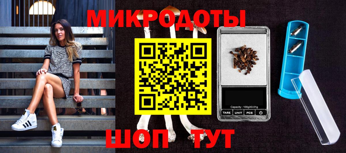 Галлюциногенные грибы мицелий  Вход с VPN  Галлюциногенные грибы Cubensis  Советская Гавань 