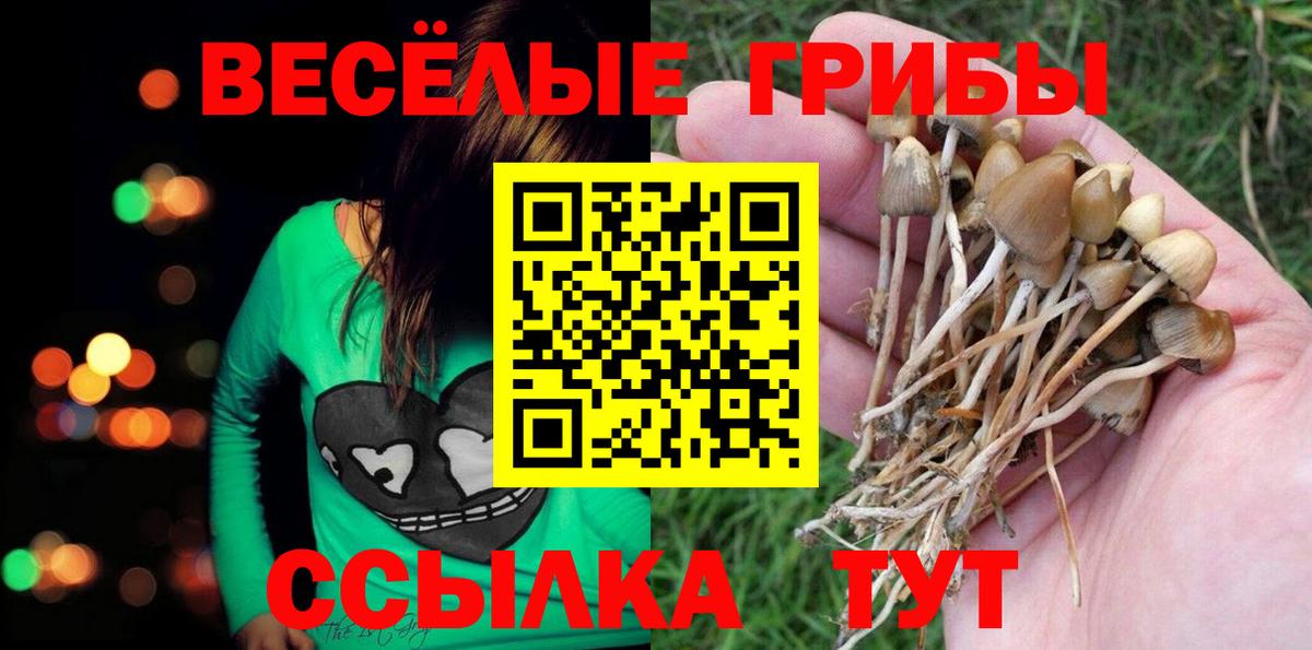 Псилоцибиновые грибы GOLDEN TEACHER Советская Гавань